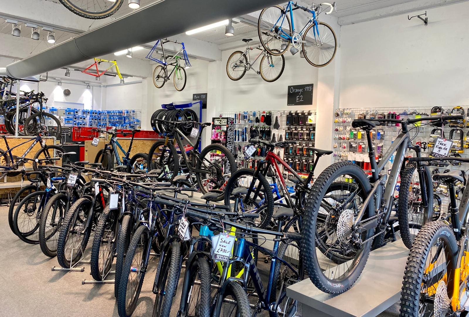 Gloucester Bike
